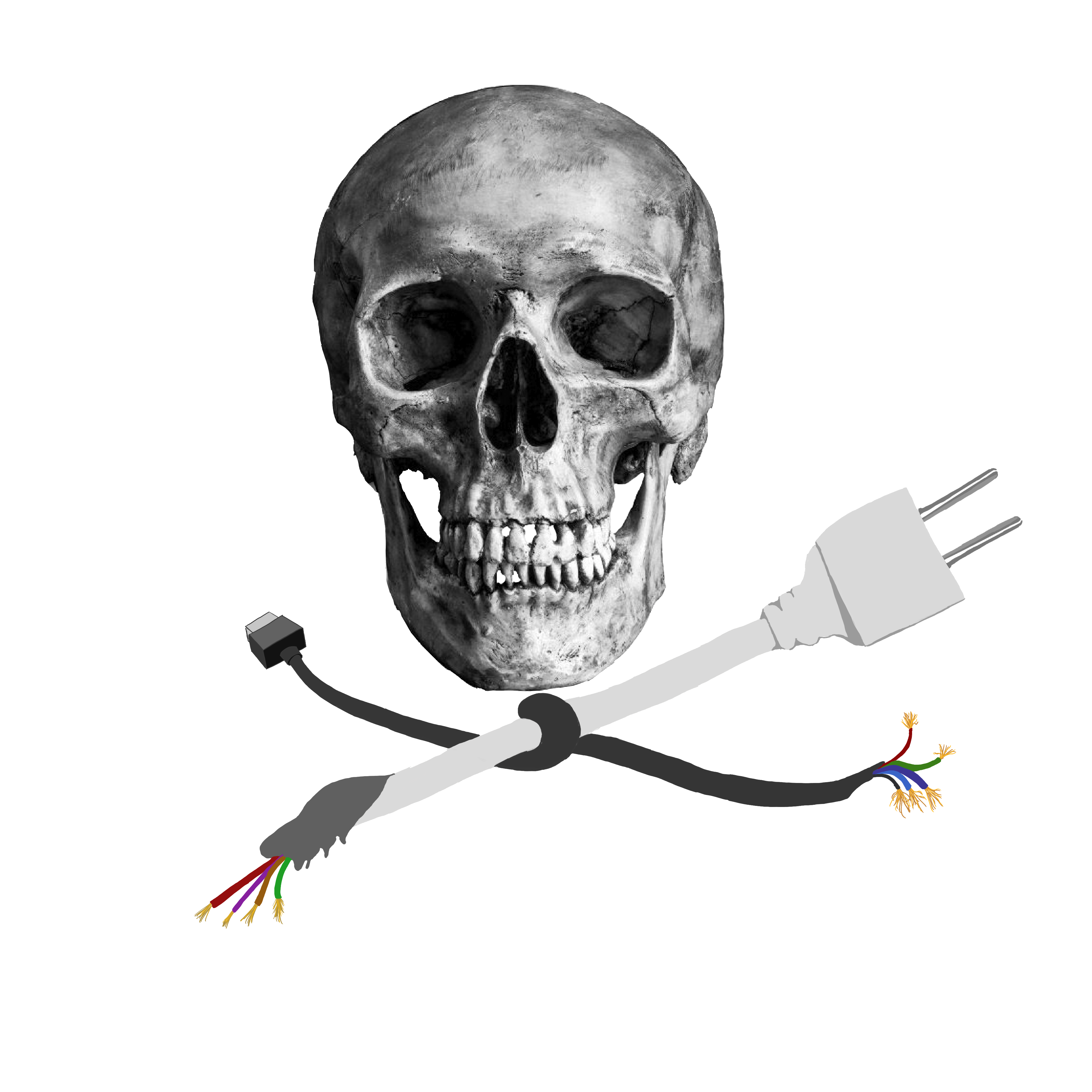 Logo: skull pirate with e-waste as bones